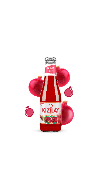 SODA NAR 200 ML (EAU GAZEUSE A LA GRENADE)X24