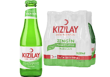 SODA SADE ERZINCAN 200 ML X24 (eau gazeuse)