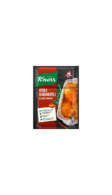 KNORR ACILI BAHARATLI CESNILE 48x31g