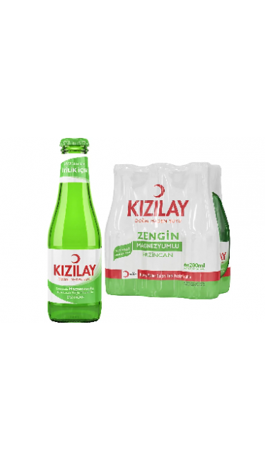 SODA SADE ERZINCAN 200 ML X24 (eau gazeuse)