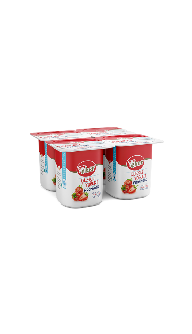 EKER YOGURT CILEKLI (4x100g) x6 (fraise)